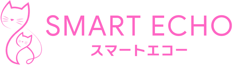 株式会社スマートエコー(Smart Echo Inc.)